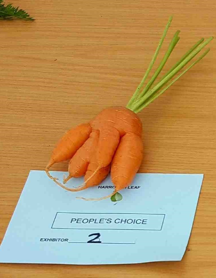 carrot hand